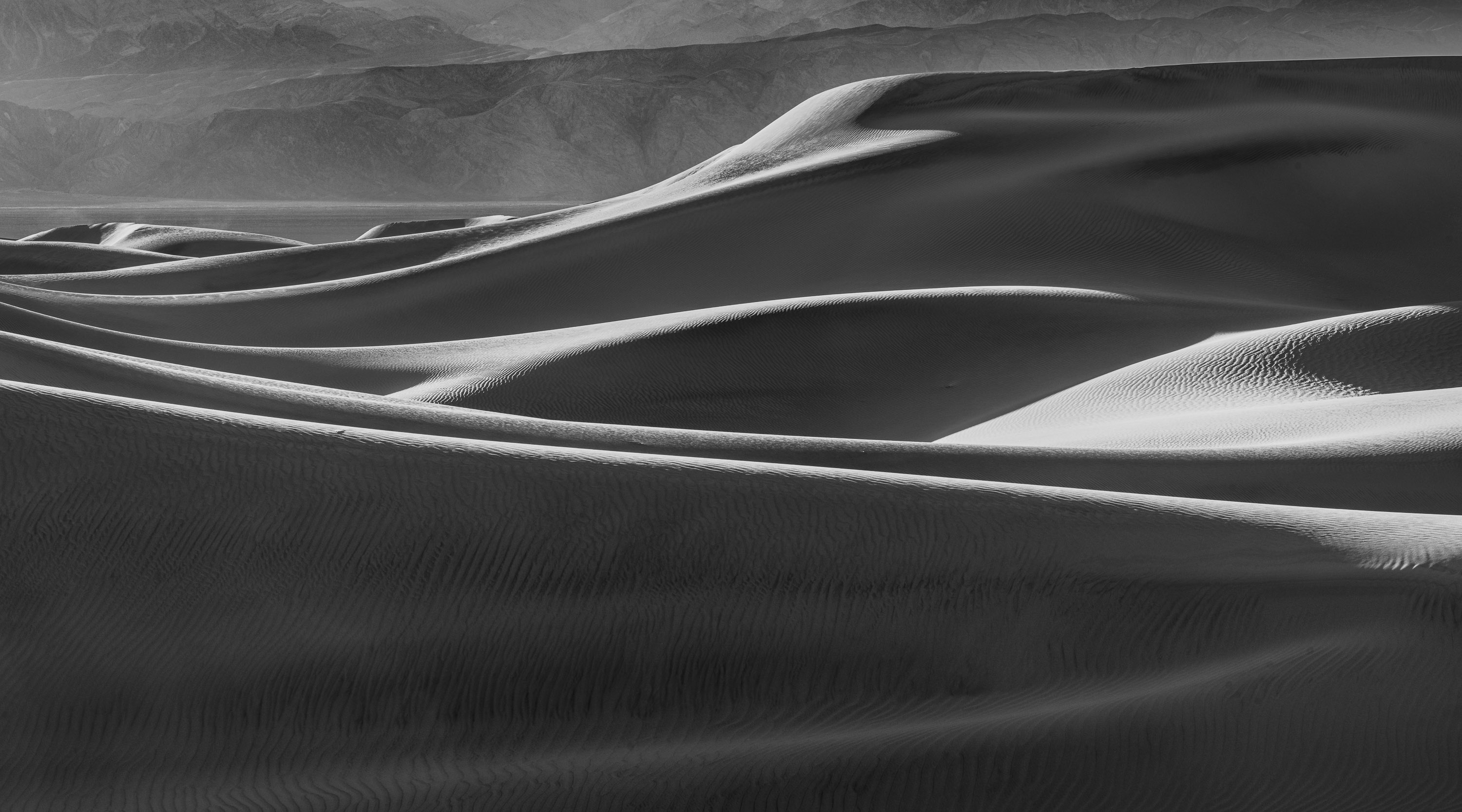 Dune Curves acba0a8d 79be 4514 9618 1247a5aeb52a